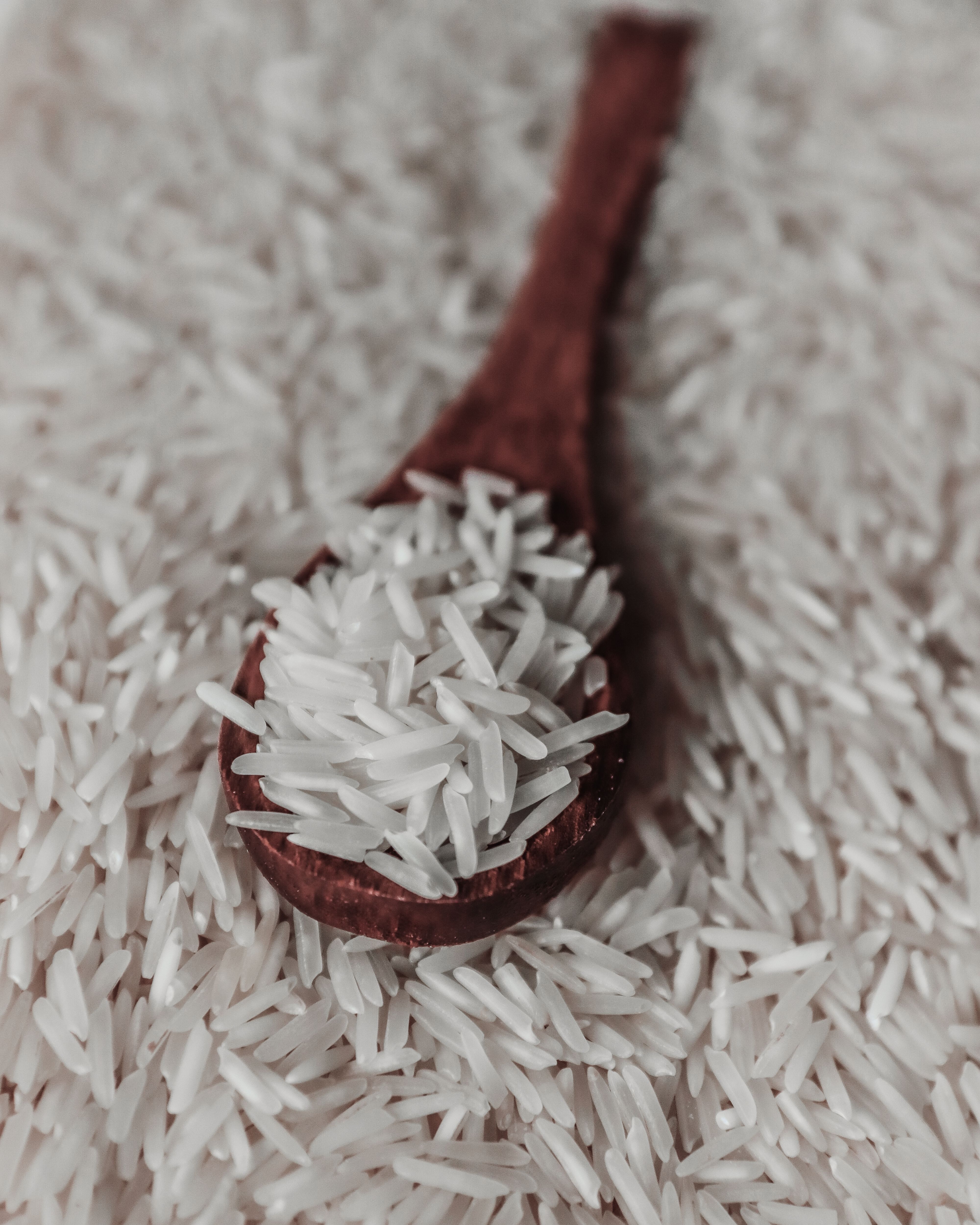 Premium Rice